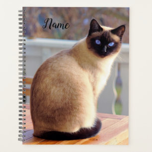 Beautiful Siamese Cat with Blue Eyes Planner