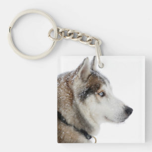 Beautiful Siberian Husky in the Snow Key Ring