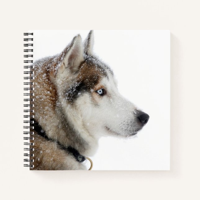 Beautiful Siberian Husky in the Snow Notebook (Front)