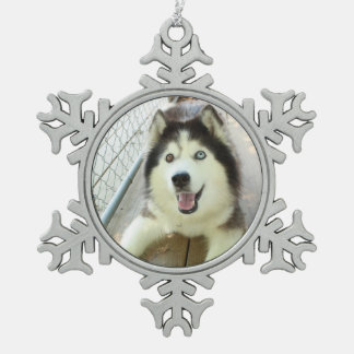 Beautiful Siberian Husky Ornament