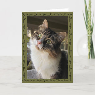 Beautiful Siberian Note Card