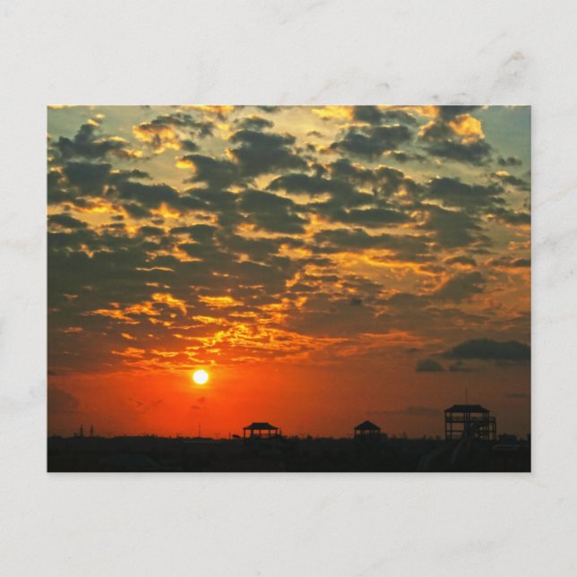 Beautiful Silhouette Sunset Postcard (Front)