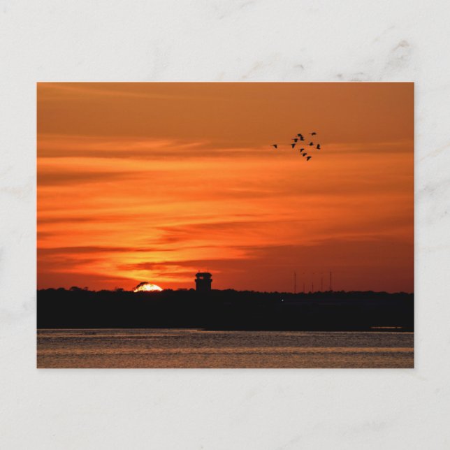 Beautiful Silhouette Sunset Postcard (Front)