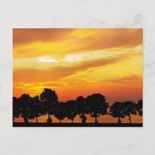 Beautiful Silhouette Sunset Postcard (Front)