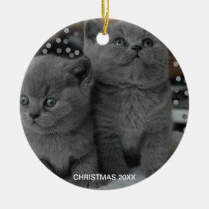 Beautiful Silver Grey Kitty Cats & Editable Text Ceramic Ornament