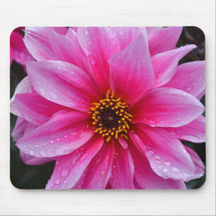 Beautiful single pink dahlia flower mouse pad
