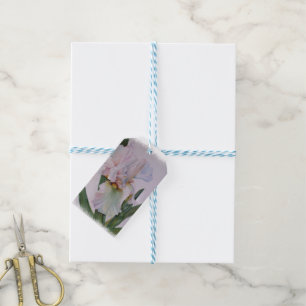 BEAUTIFUL SINGLE WHITE IRIS GIFT TAGS