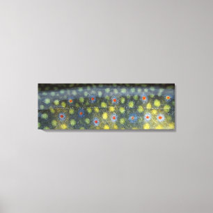 Beautiful Skin, Jordan River Brookie" Canvas Print