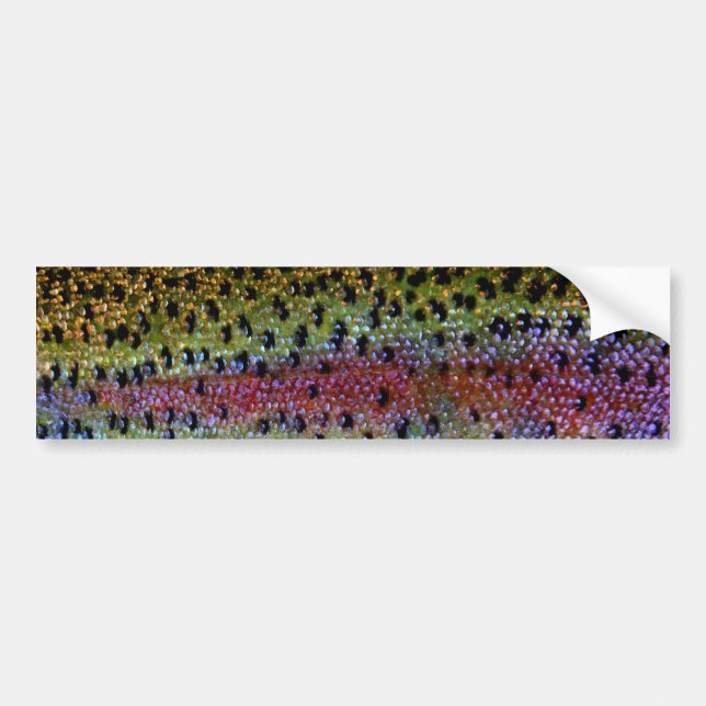 "Beautiful Skin, Rainbow Bronze" Bumper Sticker (Front)