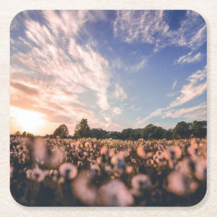 beautiful sky over the plain square paper coaster