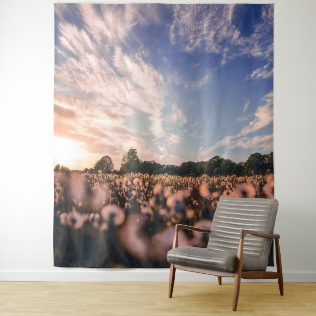 beautiful sky over the plain tapestry (In Situ)