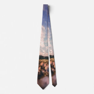 beautiful sky over the plain tie