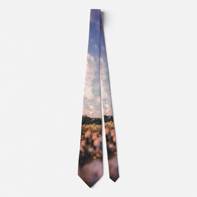 beautiful sky over the plain tie (Front)