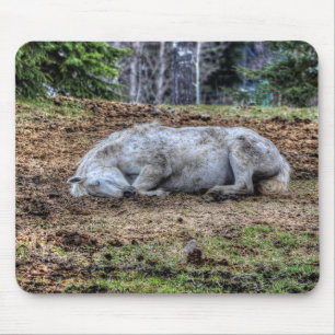 Beautiful Sleeping White Mare Ranch Horse Mouse Pad