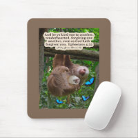 Beautiful Sloth Scripture: Ephesians 4:32