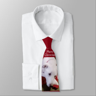 Beautiful Snowy White Puppy Dog Christmas Red Tie
