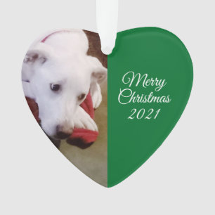 Beautiful Snowy White Puppy Dog Green Christmas Ornament