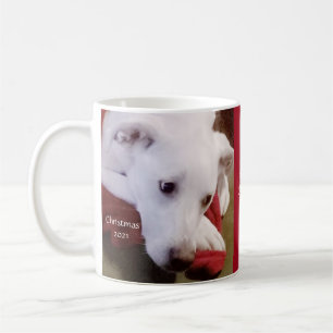 Beautiful Snowy White Puppy Dog  Red Christmas Coffee Mug