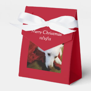 Beautiful Snowy White Puppy Dog Red Christmas Favour Box