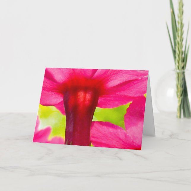 Beautiful, Soft, Pink Floral Nature Card (Front)