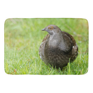 Beautiful Sooty Grouse in the Grass Bath Mat