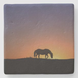 Beautiful Southwestern Horse Coasters