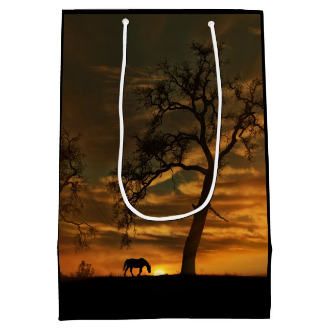 Beautiful Southwestern Horse Gift Bag (Back)