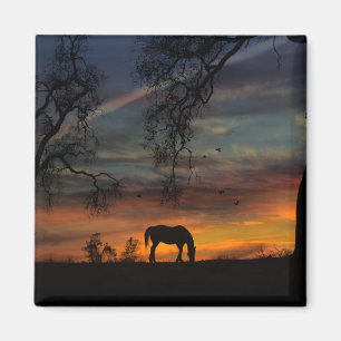 Beautiful Southwestern Horse Magnet
