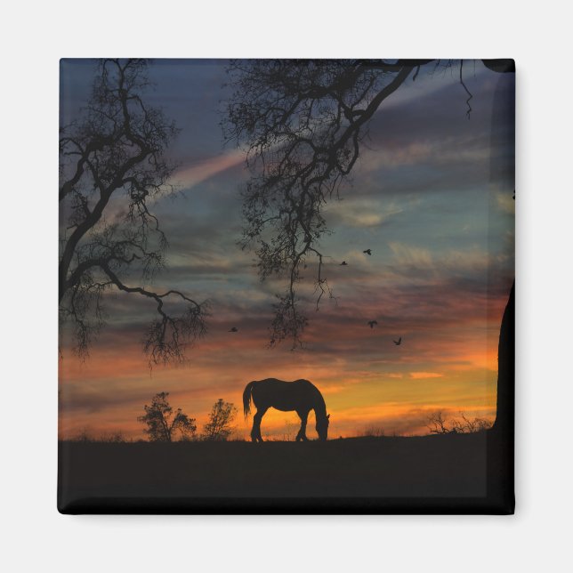 Beautiful Southwestern Horse Magnet (Front)