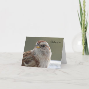 Beautiful Sparrow - Blank Greeting Card