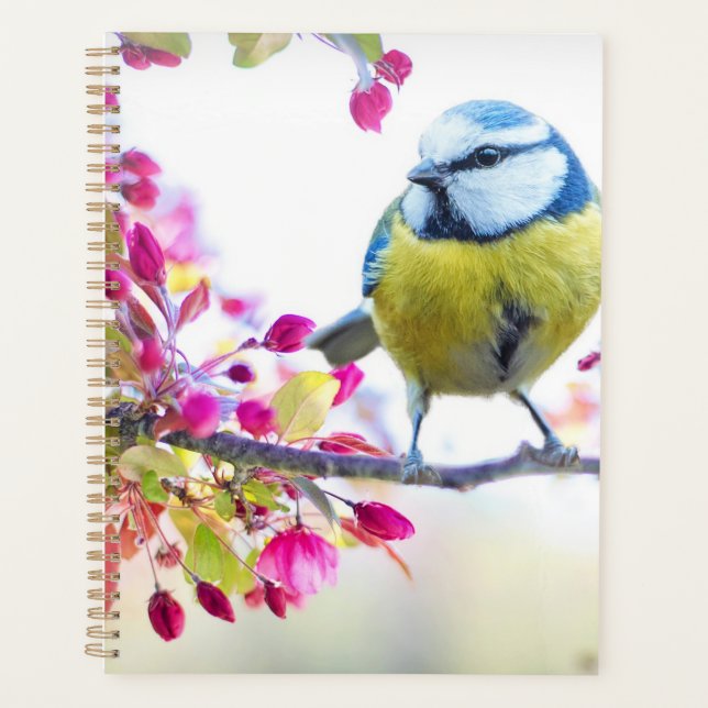 Beautiful Spring Bird Planner (Front)
