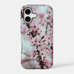 Beautiful Spring Cherry Blossom