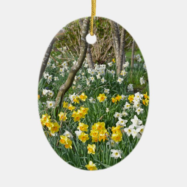 Beautiful spring daffodil garden ceramic tree decoration (Front)
