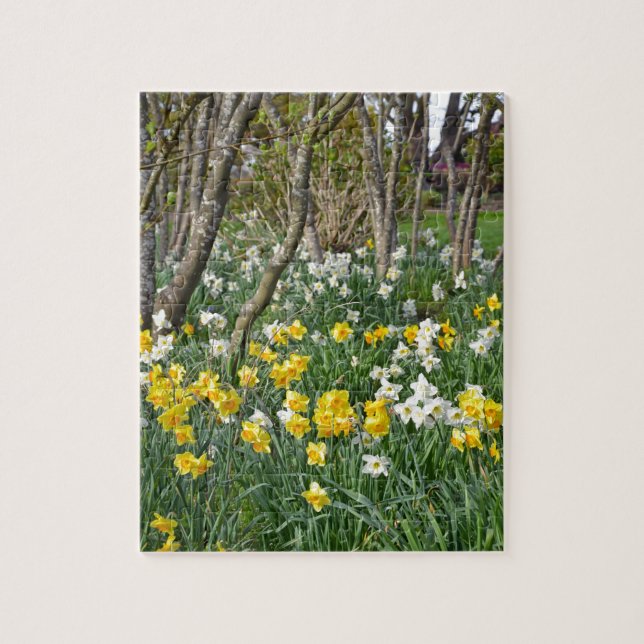 Beautiful spring daffodil garden jigsaw puzzle (Vertical)