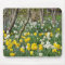 Beautiful spring daffodil garden