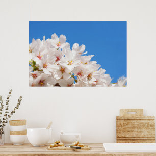 Beautiful spring flowers poster