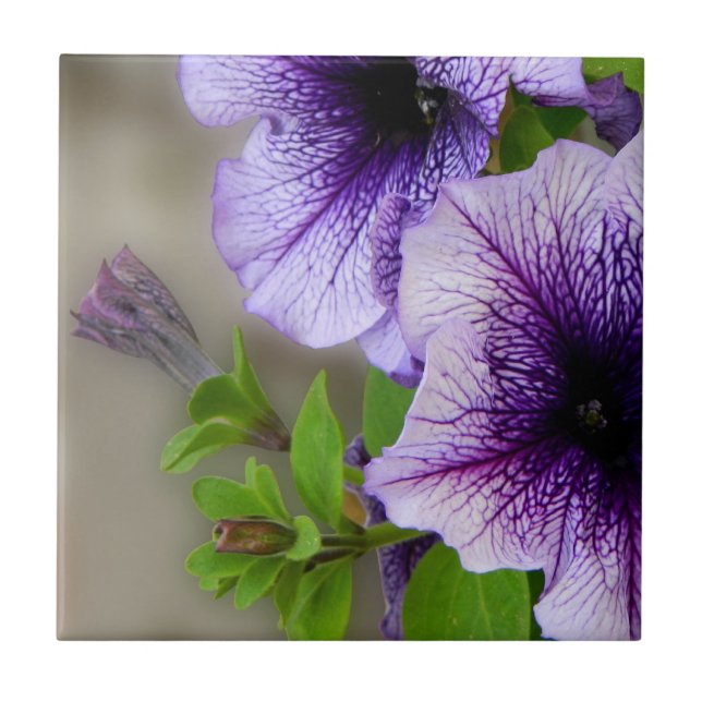Beautiful spring flowers purple ceramic tile (Front)
