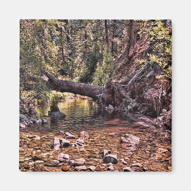 Beautiful Spring morning.... Magnet (Front)