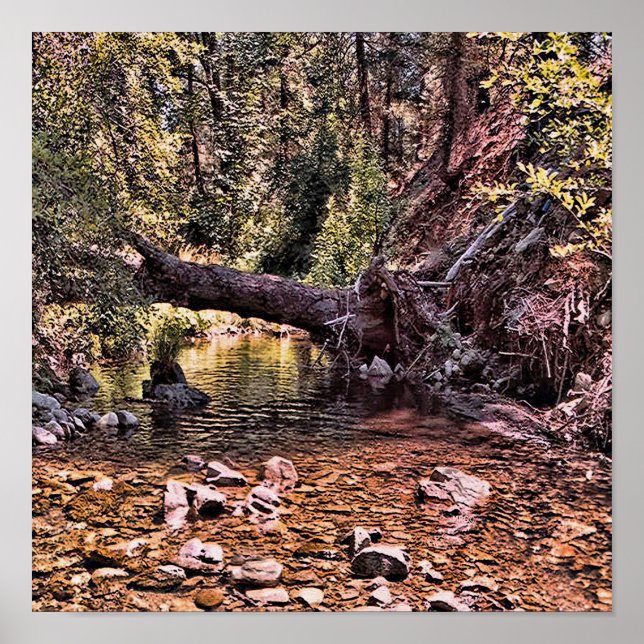 Beautiful Spring morning.... Poster (Front)