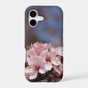 beautiful spring pink cherry blossoming tree.