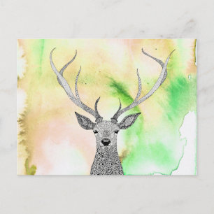 Beautiful Stag Postcard