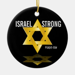 Beautiful Star of David Ceramic Ornament