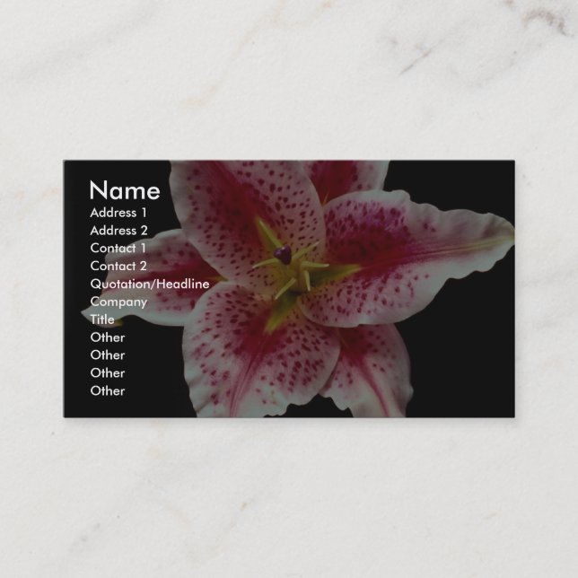 Beautiful Stargazer lily Business Card (Front)