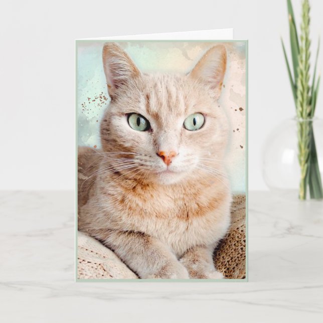 Beautiful Striped Tabby Cat Greeting Card (Front)