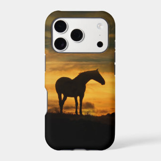Beautiful Strong Horse Silhouetted Sunset