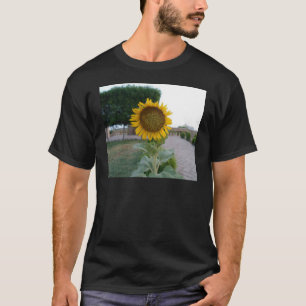 Beautiful Stunning Sunflower T-Shirt