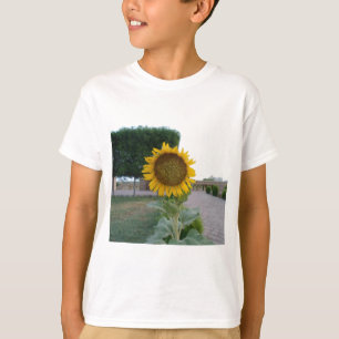 Beautiful Stunning Sunflower T-Shirt