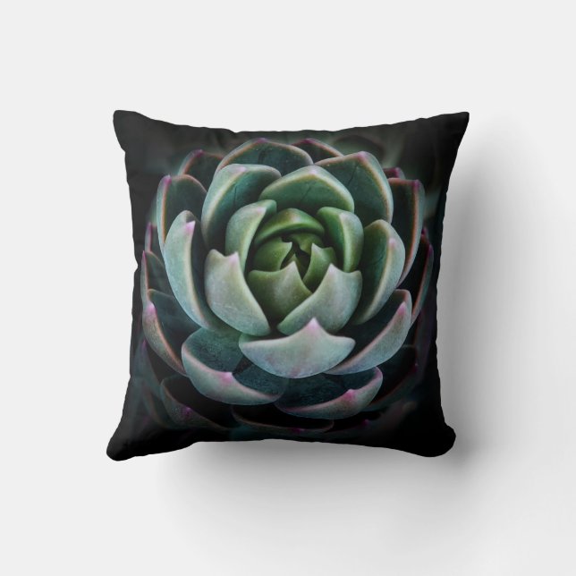 Beautiful Succulent Flower Photo Cushion (Back)