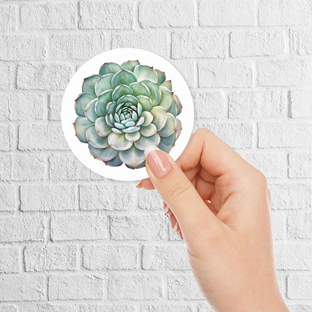 Beautiful Succulent Flower Watercolor Classic Round Sticker (Creator Uploaded)