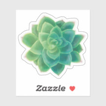 Beautiful Succulent Plant Lover Sticker